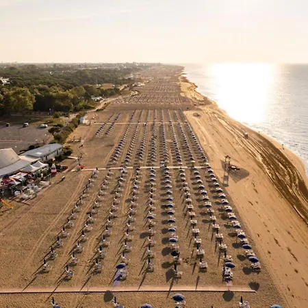 Near The In * Bibione