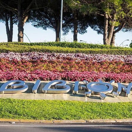 Near The In Bibione